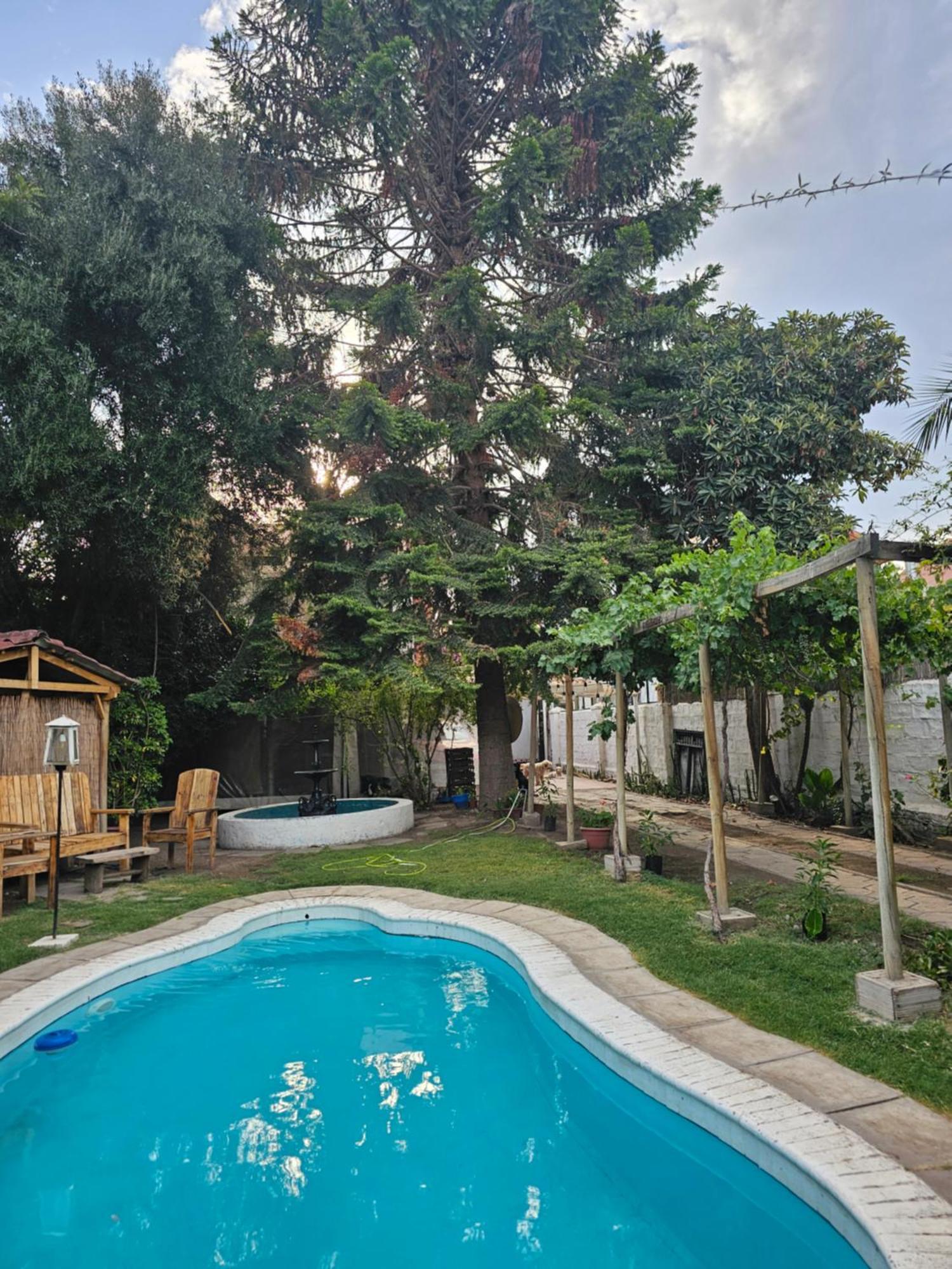 La Araucaria Cabana Con Tinaja San Felipe Buitenkant foto
